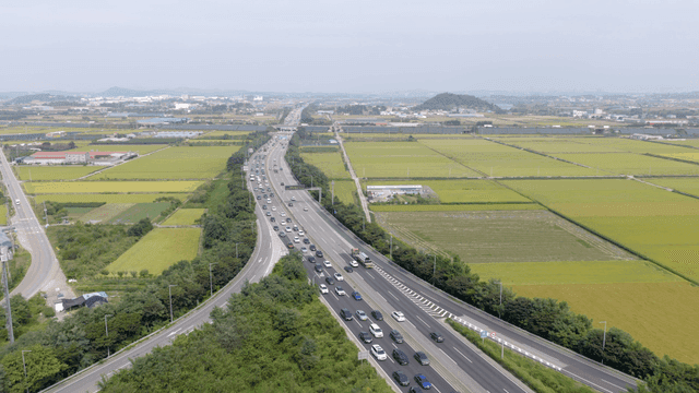 넓은 녹색 들판을 가로지르는 고속도로