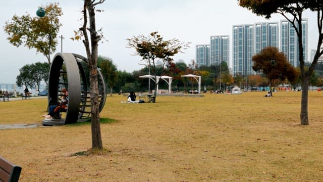 도시 공원에서의 여유로운 오후