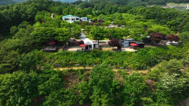 도심과 멀리 떨어진 자연 캠핑장