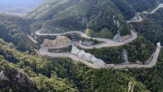 푸른 숲으로 둘러싸인 구불구불한 산길