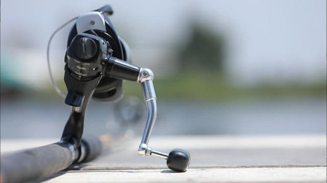 고요한 호수 옆에 놓인 낚싯대