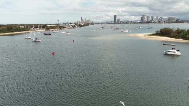 Coastal Cityscape with Boats and Skyline