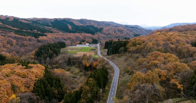 A winding road through autumn forests
