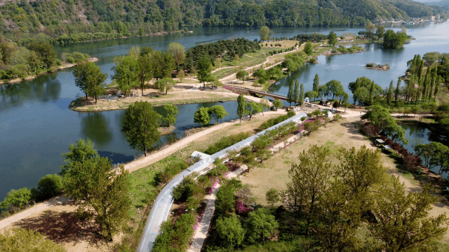 River landscape lush with green trees