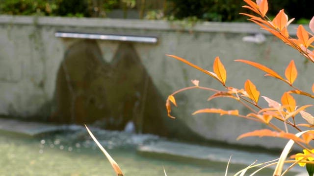 Artificial pond with water dripping from the wall