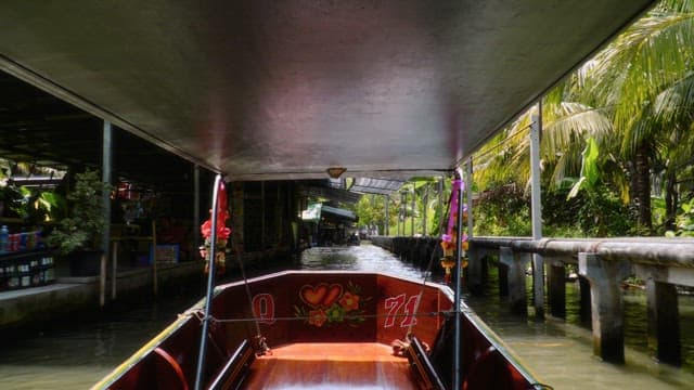 Taking a boat ride through lush rainforest on a clear day