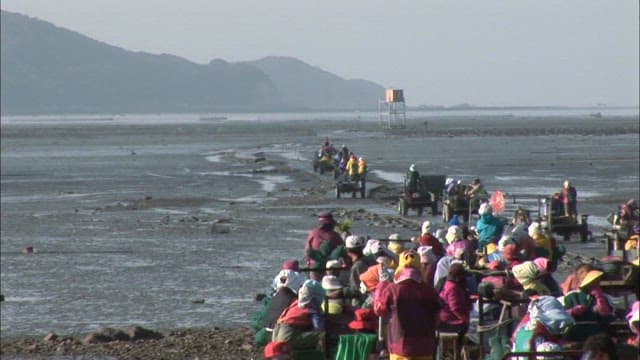 People Harvesting Seafood on a Coastal Wetland