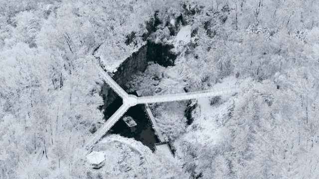Snow-covered forest with a bridge