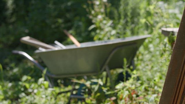 푸른 정원에 있는 손수레