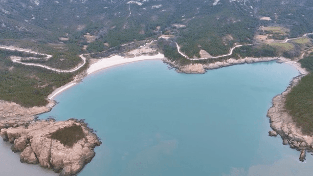 Serene beach surrounded by lush greenery