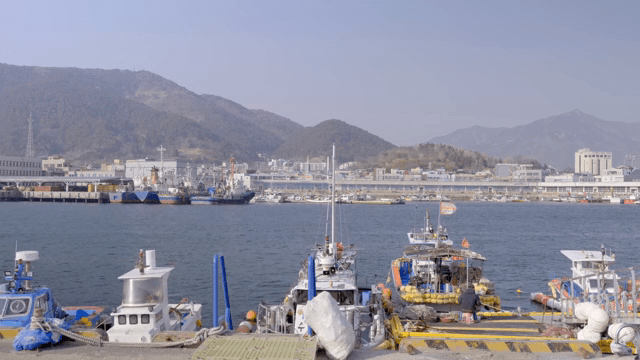 Quiet harbor with fishing boats docked