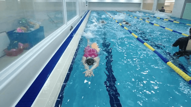 수영장에서 수영 연습하는 사람들