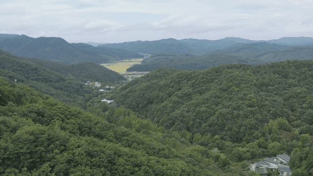 푸른 숲과 먼 산