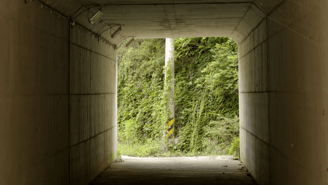 푸른 숲으로 이어지는 터널