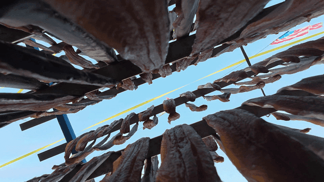 Gwamegi drying under clear sky