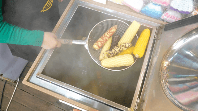 Steaming corn being lifted from a pot