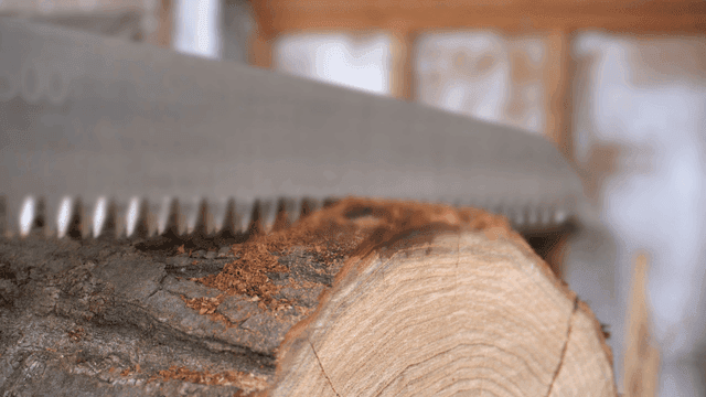 통나무를 자르는 톱