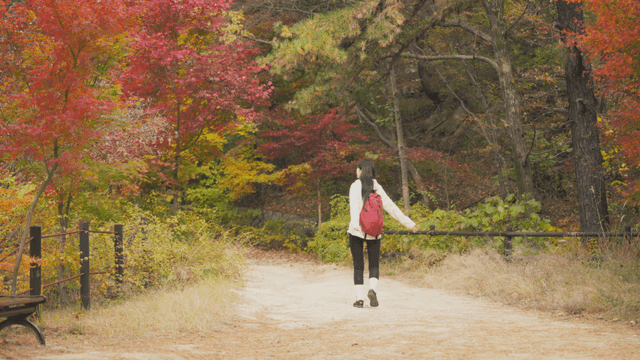 Long-haired woman walking in autumn foliage forest