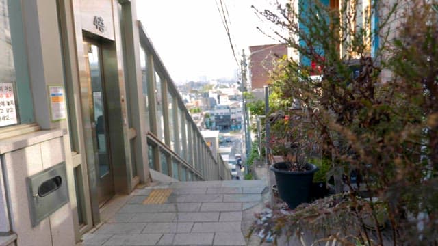 Quiet alley with potted plants