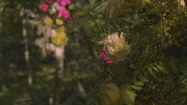 Colorful flowers in a sunlit garden