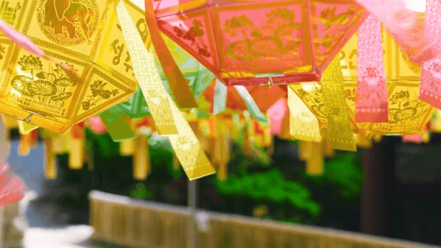 Colorful lanterns hanging outdoors