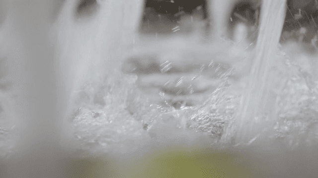 Close-up of water splashing