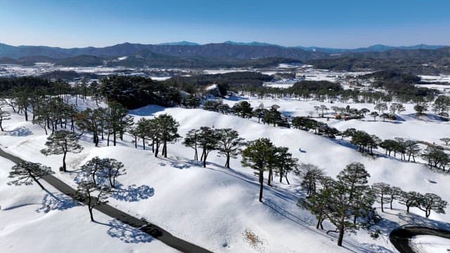 Snowy Landscape with Pine Trees and Mountains