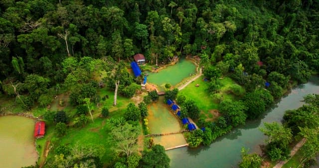 평화로운 숲속의 자연 수영장