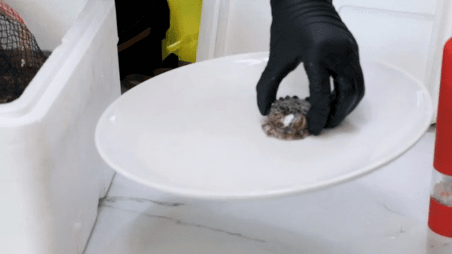 접시에 붙은 전복을 드는 손