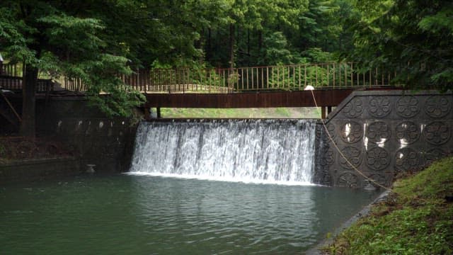 Small dam under a wooden bridge in a green forest
