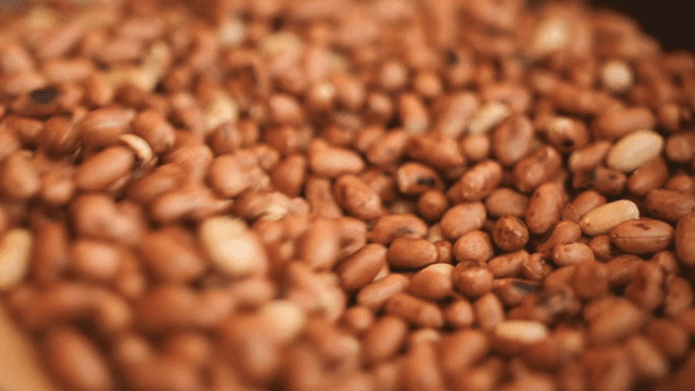 나무 주걱으로 땅콩 볶기