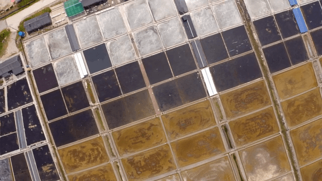 염전의 항공 뷰