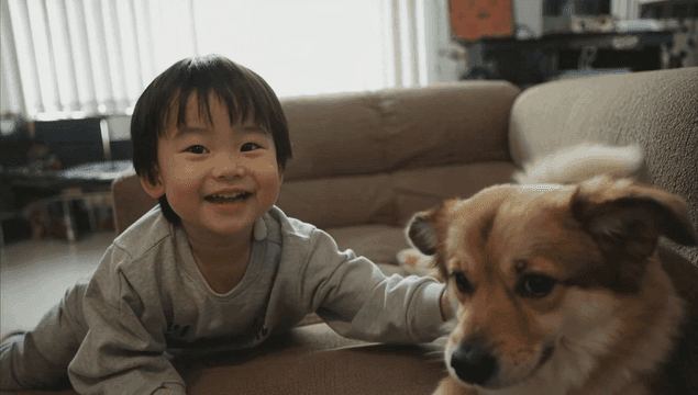 Child playing with a dog on the sofa