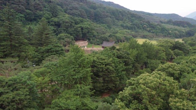 울창한 숲 속에 자리한 전통적인 건축물, 산성