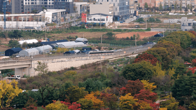 숲과 농촌을 지나는 기차