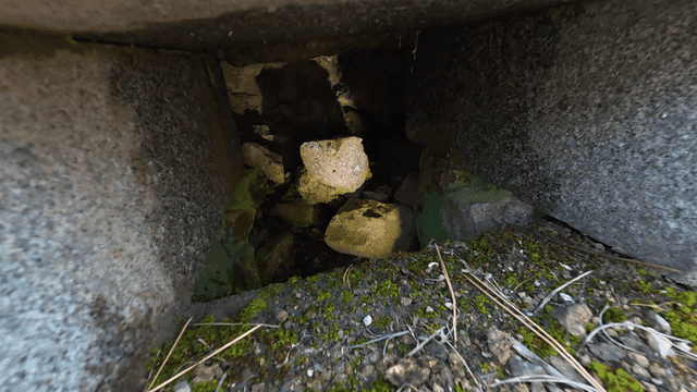 Rocks and moss under pile of stones