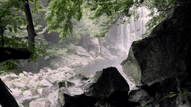 Serene waterfall surrounded by lush greenery