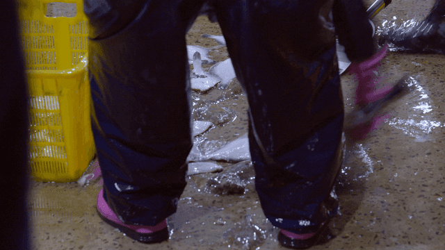 Workers putting fish into baskets on wet floor