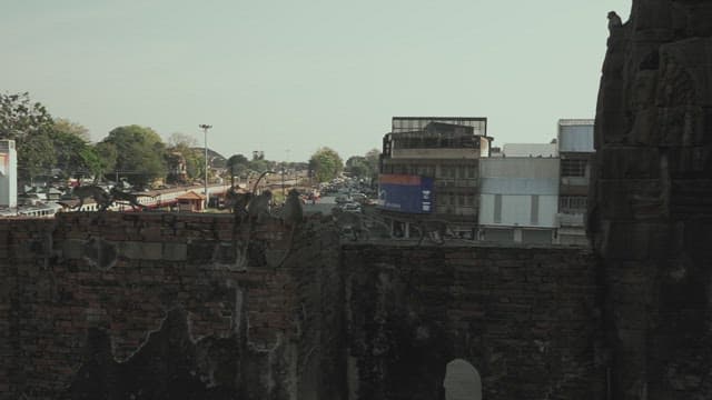 Monkeys Gathering on Ancient Stone Ruins