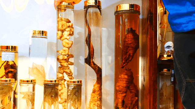 진열된 오래된 담금주들