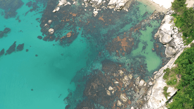 암석 해안과 맑은 바다의 항공 뷰