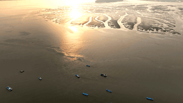 일몰에 잔잔한 바다 위의 배들