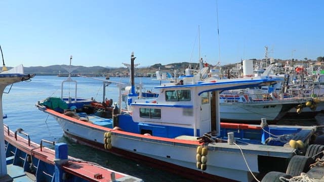 화창한 날 고요한 항구에 정박한 어선들