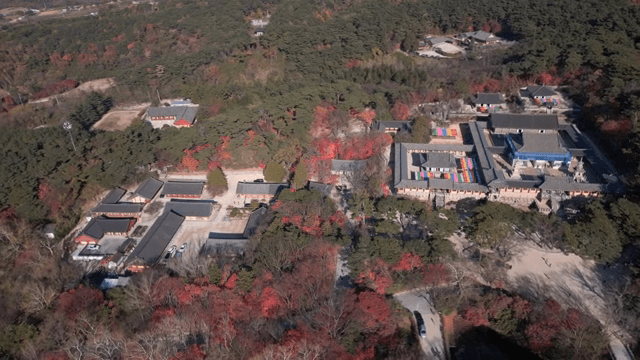 숲으로 둘러싸인 전통 한국 사찰