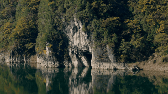 푸른 나무가 우거진 절벽 아래 강