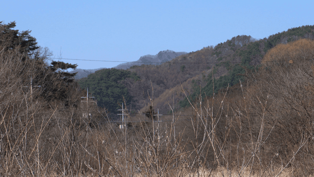 멀리 산이 보이는 고요한 겨울 숲