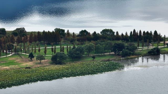 푸른 녹음이 우거진 호숫가 공원