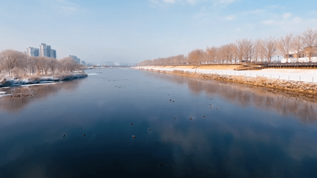 Serene river with snow-covered banks and ducks