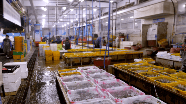 Workers sorting seafood in a busy market