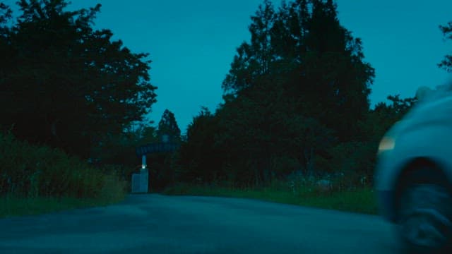 Car driving on a quiet road lined with trees in the evening